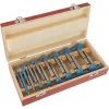 Specialty Power Tool Accessories Shop Fox 1/4 In. To 2-1/8 In. 16-Pieces Carbide Forstner Bit Set 1 Specialty Power Tool Accessories Shop Fox 1/4 In. To 2-1/8 In. 16-Pieces Carbide Forstner Bit Set -Dewalt Shop shop fox specialty power tool accessories dc1917 64 1000